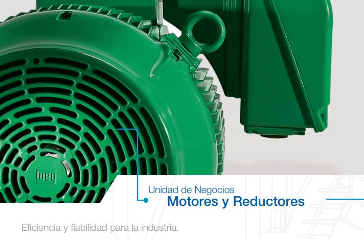Unidad Motores WEG